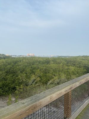 Boca Ciega Millennium Park by null