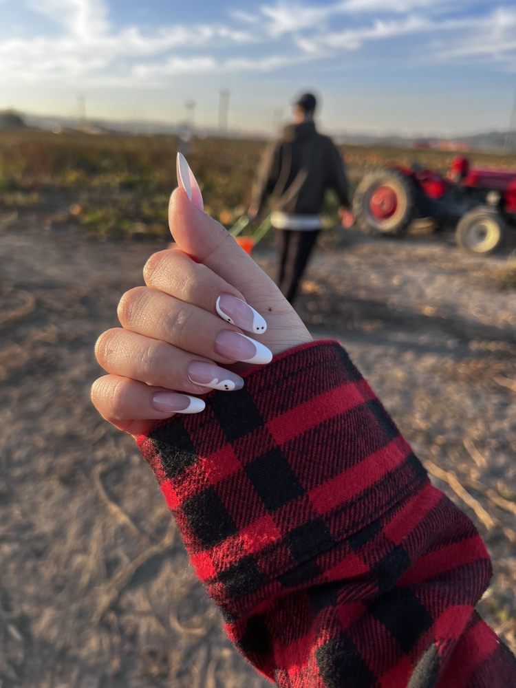 Johns Hair And Nails Logo