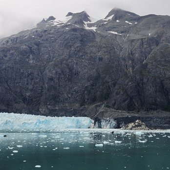 Joyful Wanderer - Glacier Bay - Travel Agents Near Me Joyful Wanderer - Glacier Bay - Travel Agents Near Me