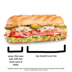 Firehouse Subs Langley Crossing