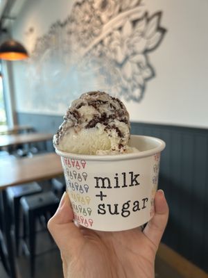 milk + sugar by null