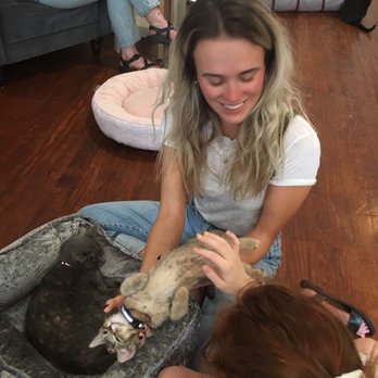 Pounce Cat Cafe - Themed Cafes Near Me - Savannah, Georgia