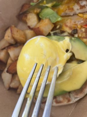 Montclair Egg Shop by null
