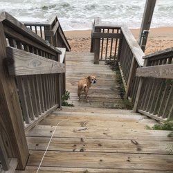 Luxury Suites On The Ocean - The stairs out from our room to the ocean. The tide was coming in. It was great hearing the ocean as you slept.