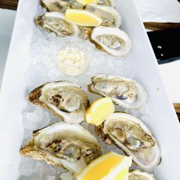 A dozen oysters in a half shell