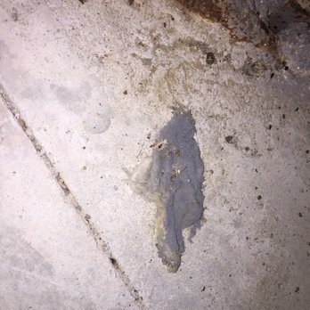 Dino's Storage - mouse nest and droppings - Self Storage Near Me - Bellevue, Nebraska