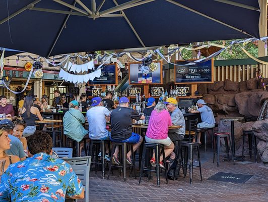 Down the Hatch Maui by null