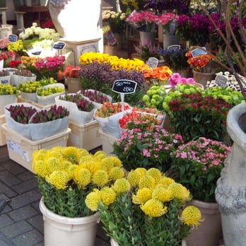 Bloemenmarkt - Florists Near Me - Amsterdam, New Hampshire Bloemenmarkt - Florists Near Me - Amsterdam, New Hampshire