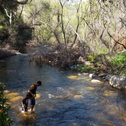 Sequoia River Dance Bed & Breakfast - The river in the back