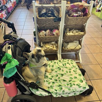 IB Pet - Pet Stores Near Me - Coronado, California IB Pet - Pet Stores Near Me - Coronado, California