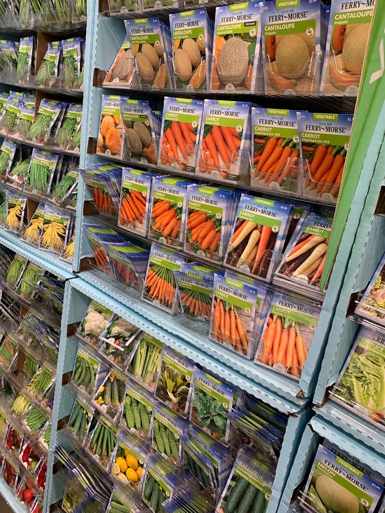 LOWE’S HOME IMPROVEMENT Updated August 2024 24 Photos & 24 Reviews