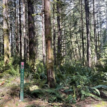 Banner Forest Heritage Park - Each trailhead has a sign at the entrance - Hiking Near Me - Port Orchard, Washington