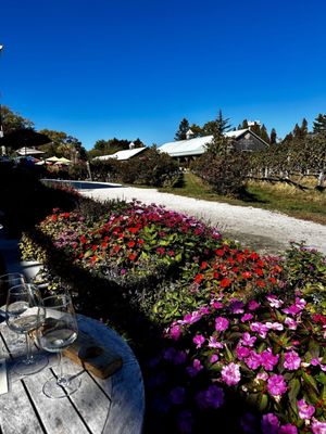 Cape May Winery & Vineyard by null