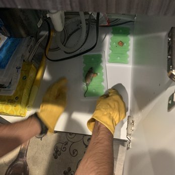 Anden - In our apartment under the kitchen sink. - Apartments Near Me - San Marcos, California