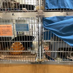 Oregon Humane Society