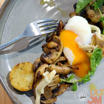 Major Sprout - Cafes Near Me - Auckland, AUK