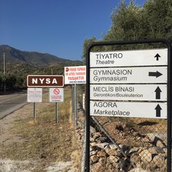 Nysa
