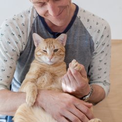 KitTea - I trained them to do my nails on Saturdays. - Ron