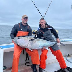 Reel Addiction Sport Fishing - Bluefin tuna