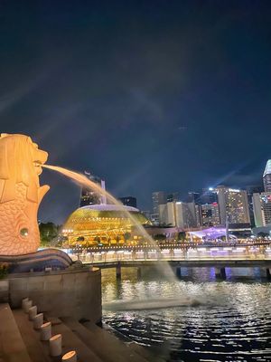 Merlion Park by null