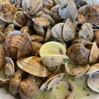 Mercado de Atarazanas - Clams - Farmers Market Near Me - Málaga, Massachusetts Mercado de Atarazanas - Clams - Farmers Market Near Me - Málaga, Massachusetts