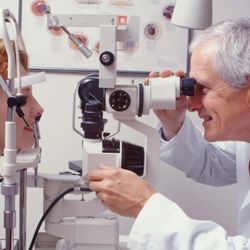 True Eye Experts Of Lutz - True Eye Experts of Lutz