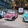 Photo of Tropical Mokes