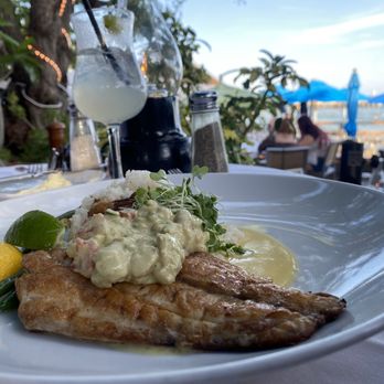 Louie's Backyard - Yellow Snapper Special - New American Near Me - Key West, Florida Louie's Backyard - Yellow Snapper Special - New American Near Me - Key West, Florida