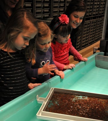 Bow Habitat Station & Sam Livingston Fish Hatchery by null