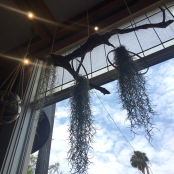 Kettle & Stone - Very modern decor - Coffee & Tea Near Me - San Diego, California Kettle & Stone - Very modern decor - Coffee & Tea Near Me - San Diego, California