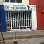 Photo of Consultorio Veterinario gatos y Perros Echegaray