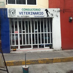 Consultorio Veterinario gatos y Perros Echegaray - CONSULTORIO VETERINARIO GATOS Y PERROS ECHEGARAY