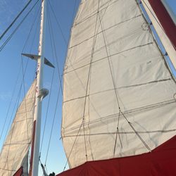 Caribbean Spirit
