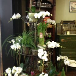Ann's Florist & Coffee Bar