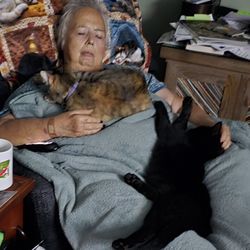 Sutherlin Veterinary Hospital - Grandma with Minnie and Mickey
