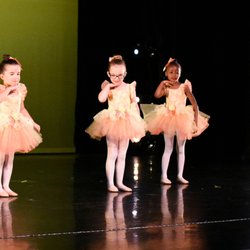 Barre None Dance Company