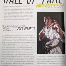 Enshin Karate