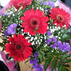 Blumenparadies Lissy's