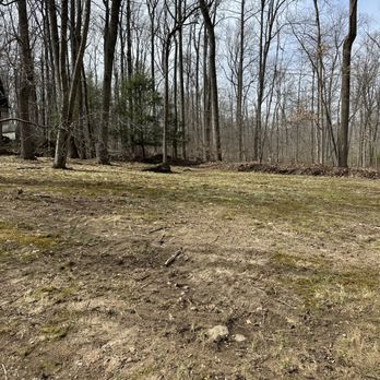 Ponderosa land Services - a view of a wooded area - Landscaping Near Me Ponderosa land Services - a view of a wooded area - Landscaping Near Me