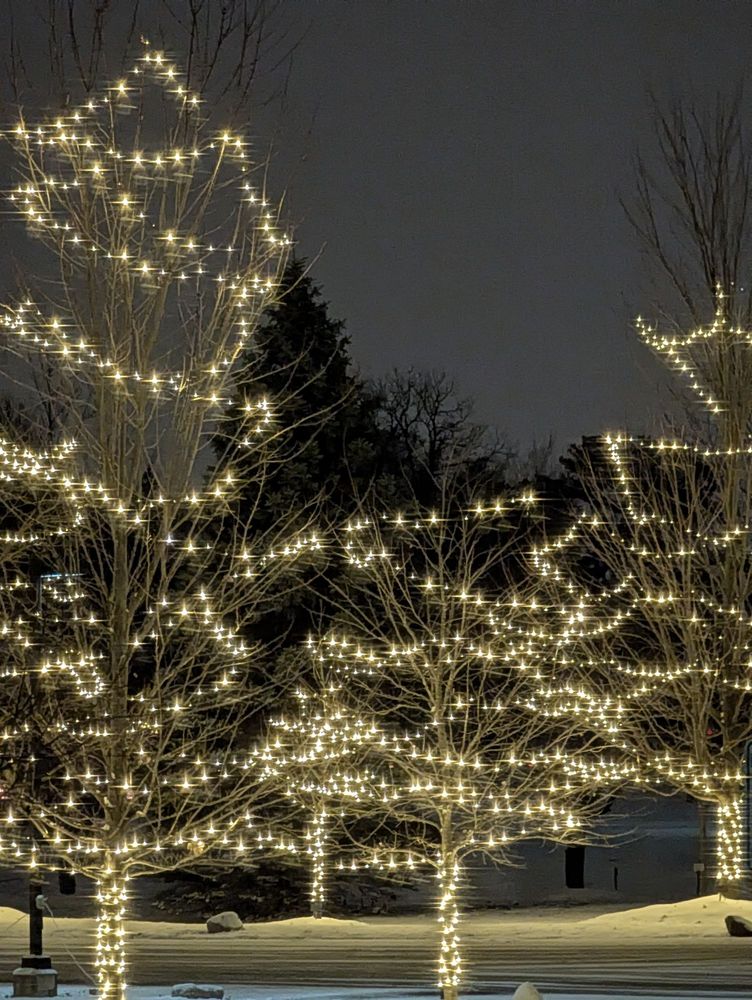 Angela Hospice - grief counselor in Livonia, MI