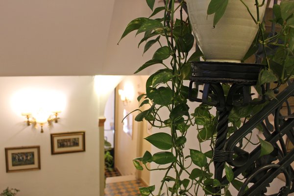 Albergo delle Drapperie by null