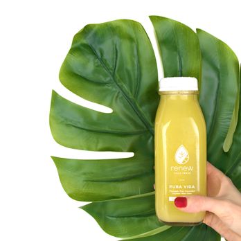 Renew Cold Press - a person holding a bottle of cold press - Juice Bars & Smoothies Near Me - Ottawa, Ontario Renew Cold Press - a person holding a bottle of cold press - Juice Bars & Smoothies Near Me - Ottawa, Ontario