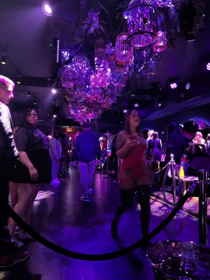 Rosebar Lounge by null