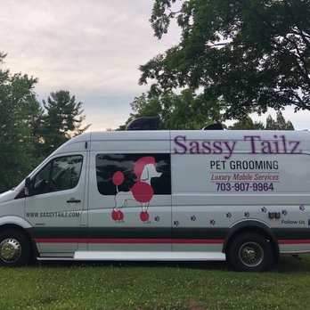 sassy mobile dog grooming