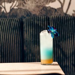 Goan Feni Fling