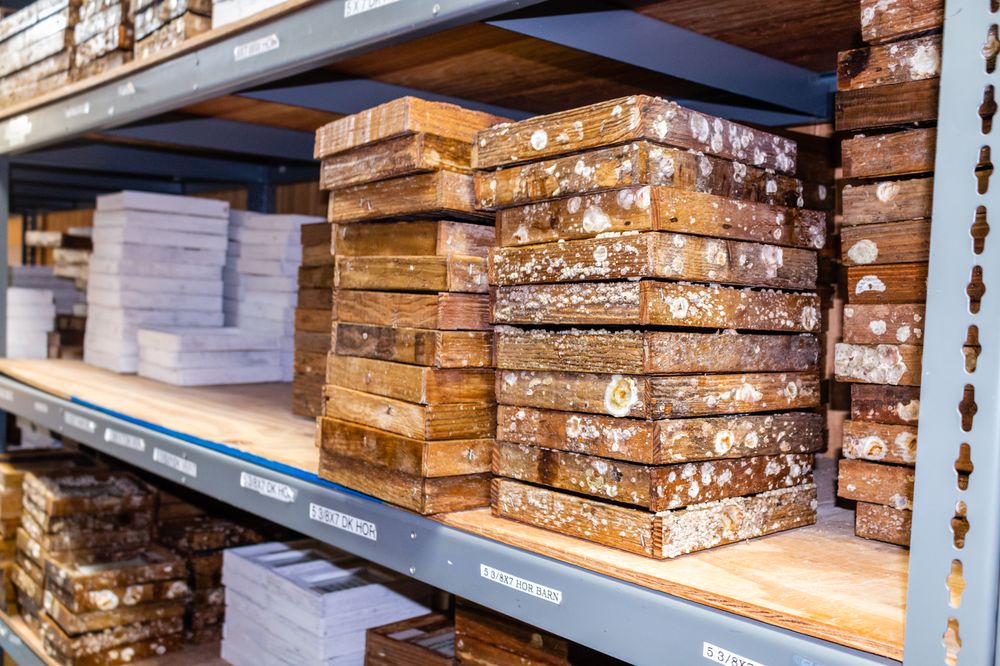 LOBSTER TRAP ART GIFT SHOP AND GALLERY 30 Photos & 16 Reviews