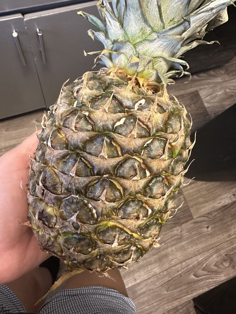 EL CAJON NUTRITION CENTER Updated May 2024 323 Van Houten Ave, El