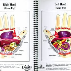Hubbard Education Group - Ariel Hubbard practices Egyptian Reflexology, an effective, relaxing, pain-free way to treat the body by massaging the hands, feet or ears.