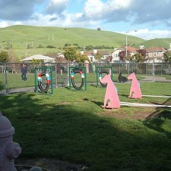 Drigon Dog Park - Small Dog Area - Dog Parks Near Me - Union City, California