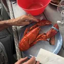 Swan River Restaurant & Fish Market - Steamed and pre cracked lobster. To go!